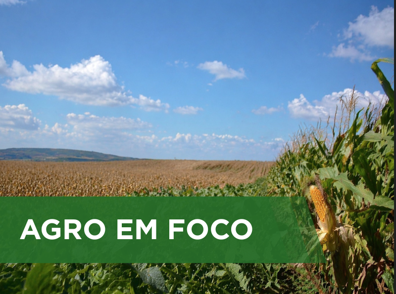 Redução das chuvas em abril eleva risco de perda para culturas de segunda safra no Centro-Oeste e Sudeste do Brasil