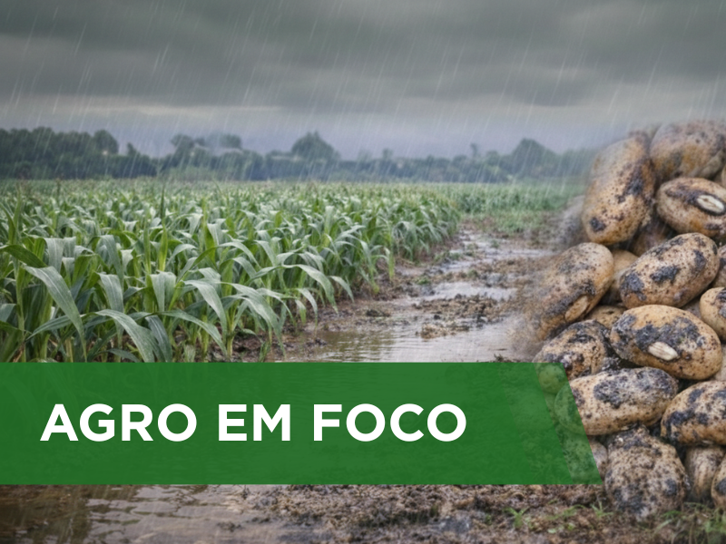 Excesso de umidade no solo reduz o ritmo das atividades agrícolas em áreas de Goiás e Minas Gerais