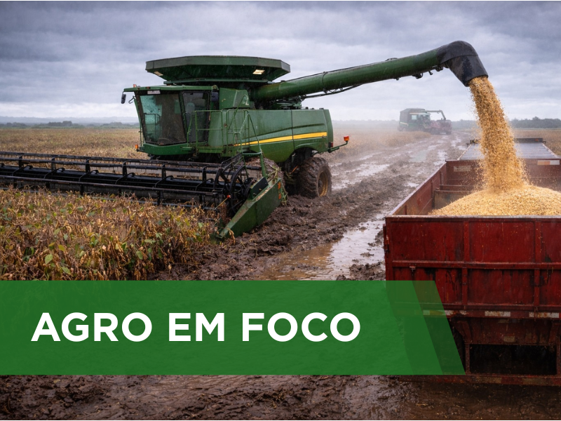 Volumes elevados de chuva impactam a logística e o ritmo da colheita da soja no MATOPIBA