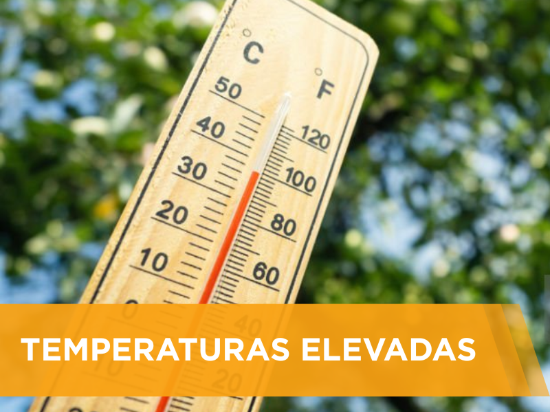 Outono começa com temperaturas elevadas no Mato Grosso do Sul e sul do Brasil