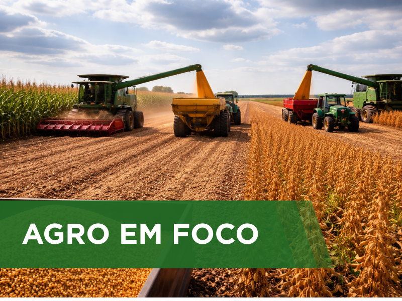 Tempo mais seco favorece a colheita de grãos, mas limita o desenvolvimento das culturas de segunda safra na Região Sul