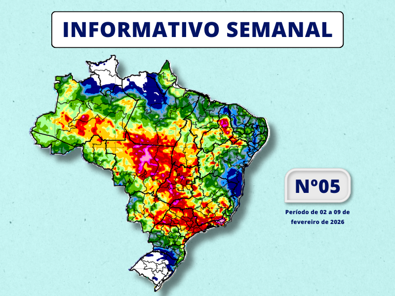 INMET divulga previsão para semana de 02 a 09 de fevereiro de 2026
