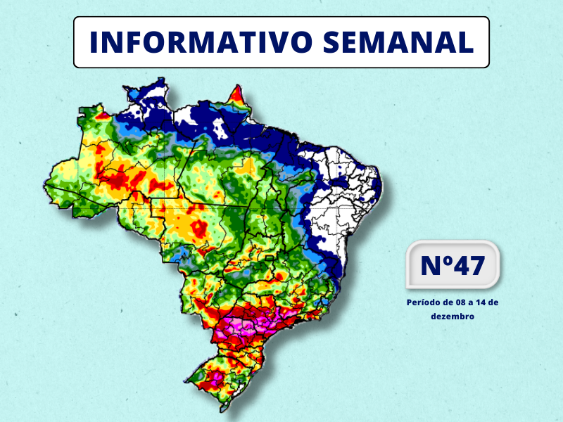 INMET divulga previsão para semana de 8 a 14 de dezembro