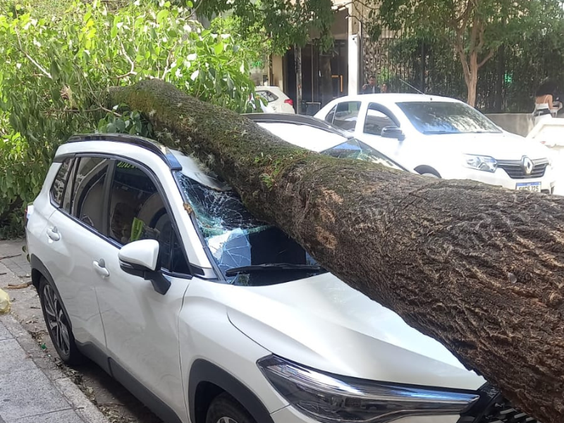 São Paulo registra 8 horas consecutivas de rajadas de vento acima de 70 km/h