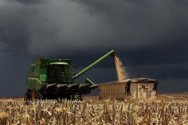 Chuvas de março demandam atenção do produtor rural