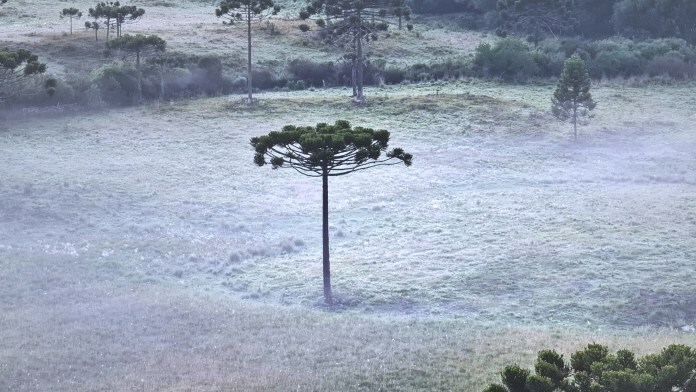 Previsão de baixas temperaturas no Sul do país