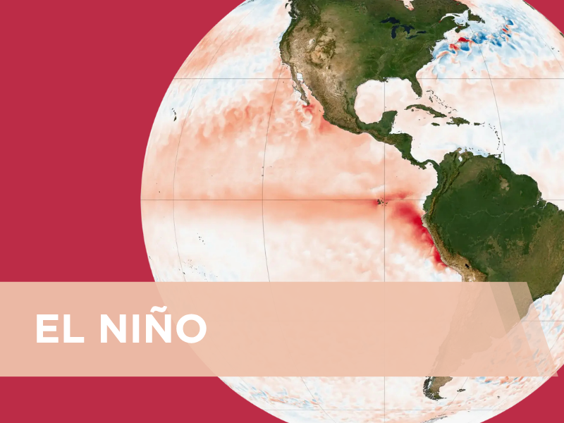 EL NIÑO ganha intensidade e registra a segunda maior anomalia para setembro desde 1950