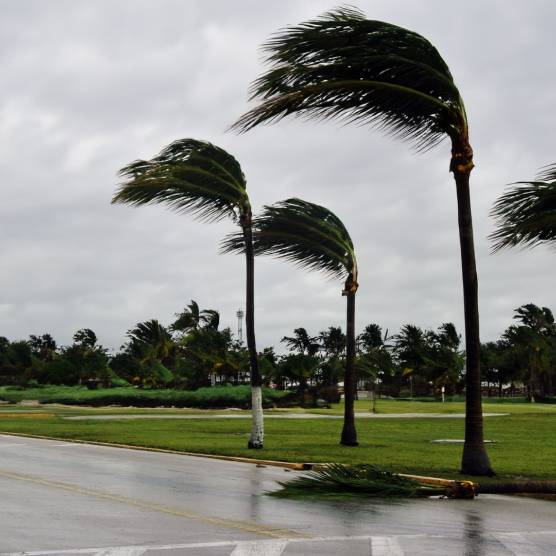 Ventos fortes podem atingir parte do litoral do Sudeste e da Bahia no domingo (2)