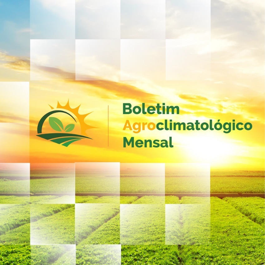 BOLETIM AGROCLIMATOLÓGICO MENSAL - NOVEMBRO /2024