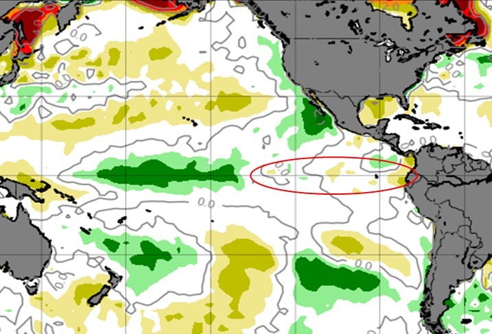 Fenômeno La Niña se aproxima do fim e entra na fase neutra