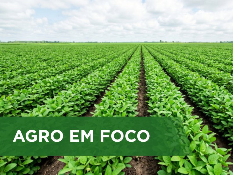 Chuvas frequentes beneficiam o desenvolvimento da safra de soja 2026 em Roraima