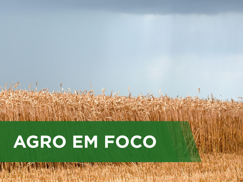 Excesso de chuva e umidade elevada dificulta as operações em campo na Região Sul