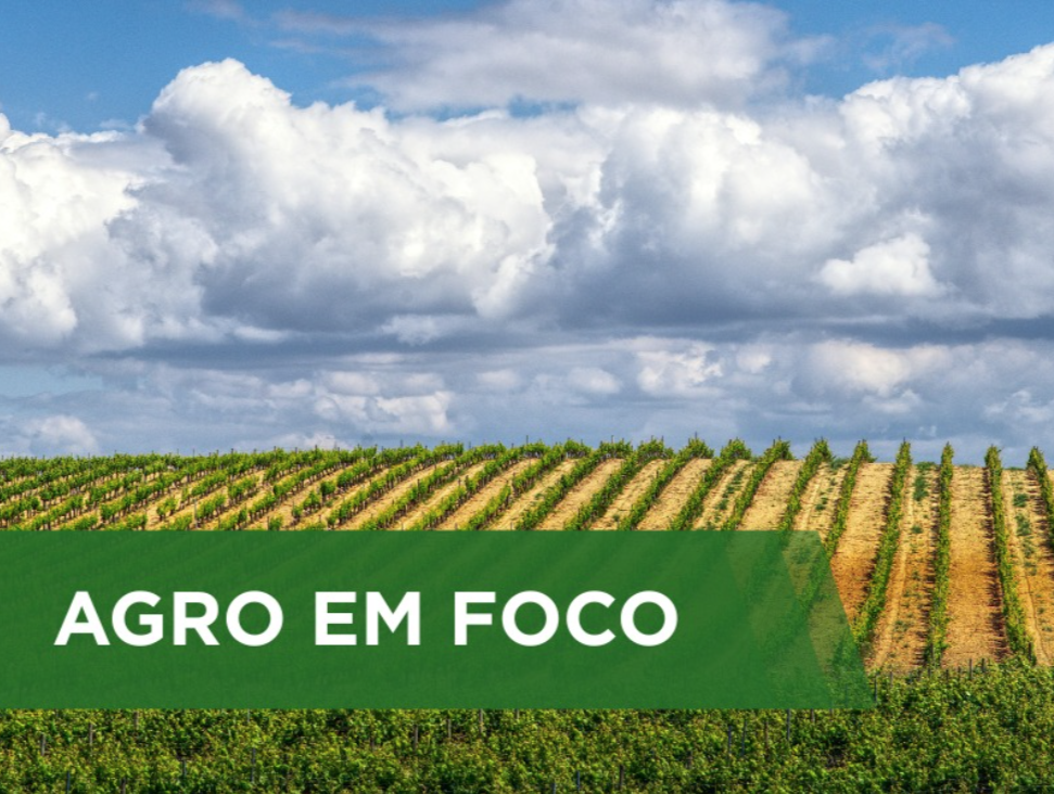 Chuvas irregulares causam impactos em áreas agrícolas no Paraná