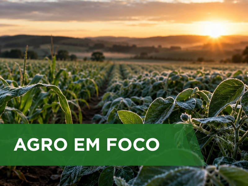 Queda acentuada das temperaturas amplia a vulnerabilidade das lavouras de segunda safra em áreas do centro-sul do país