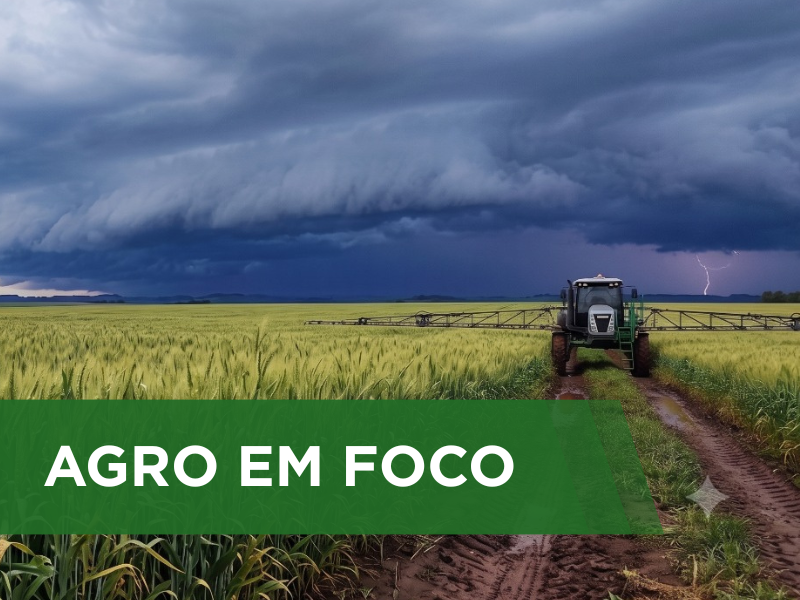Chuvas intensas na Região Sul reacendem alerta fitossanitário para as lavouras de trigo