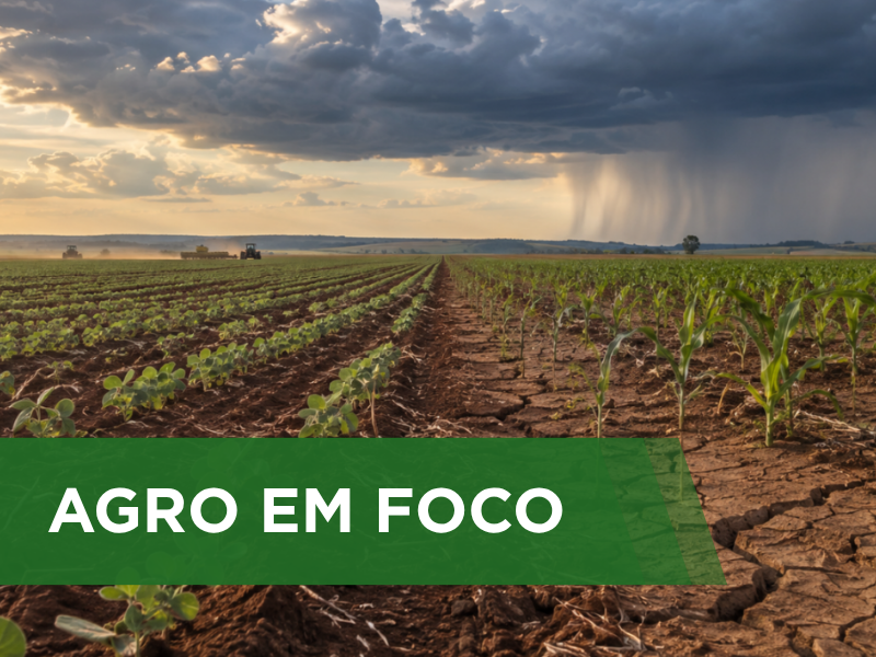 Chuvas irregulares exigem cautela no início da semeadura de soja e milho em Goiás e Mato Grosso.