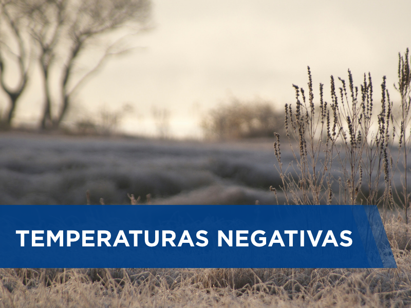 Massa de ar frio provoca temperaturas negativas e geada na Região Sul